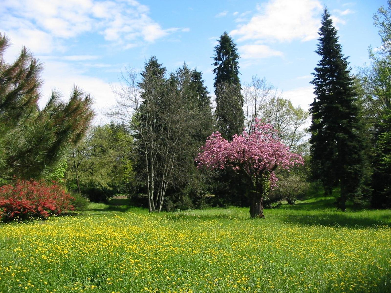 Agriturismo Villa Gropella Валенца Экстерьер фото